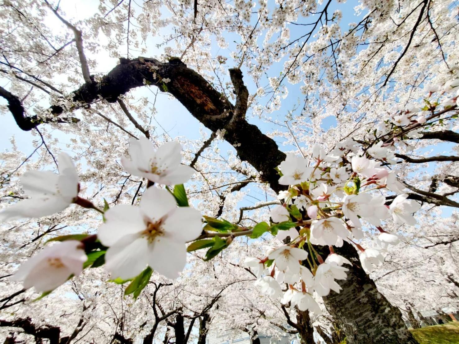 Yunohama Hotel Хакодате Екстер'єр фото